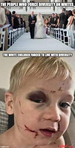 diversity-forced