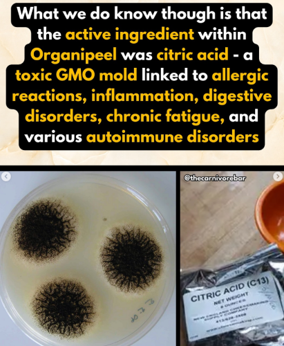 Screenshot 2025-08-30 064418