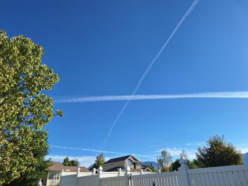 1355416d-41b8-4c60-a4cc-68cba232df46