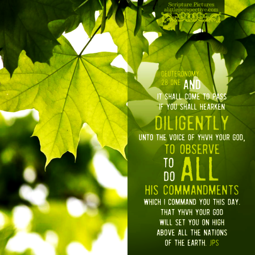 deu-28-1-JPS-unsplash