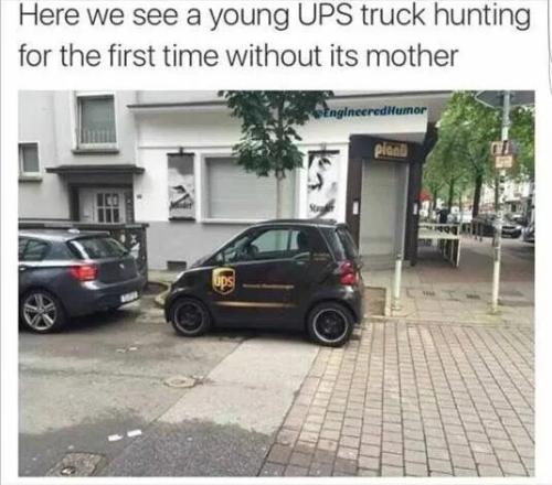 ups-truck-hunting-without-mother