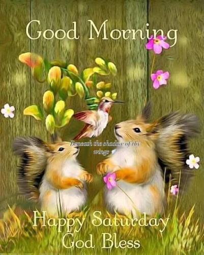 541932677_18023304701743683_7837154112853453681_n