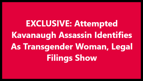Kavanaughs Assassin Is