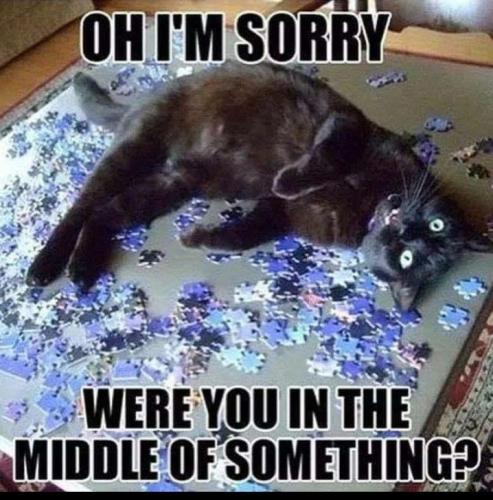 44d89d18d84b8a5869aa438451c6d03a