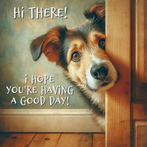 548030600_10162085148113030_4856505454710465309_n