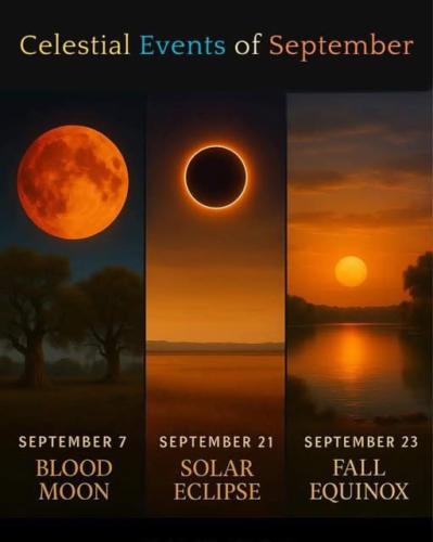 .             406271498_3192799375.