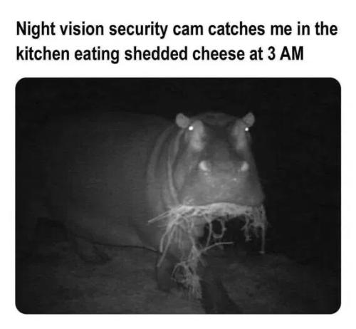 night-vision-camera