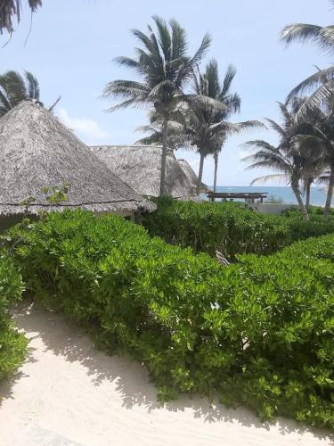 FB_IMG_1738812650089