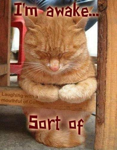 41c89b380a97dc0f04e0b04e88021690