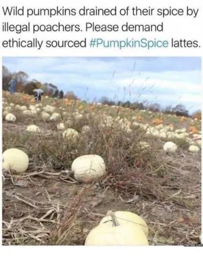 ethically-sourced-pumpkin-spice