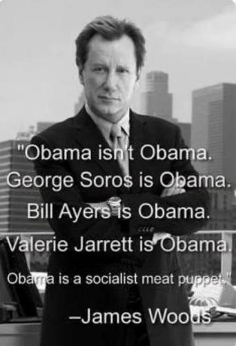 obama-socialist-meat-puppet