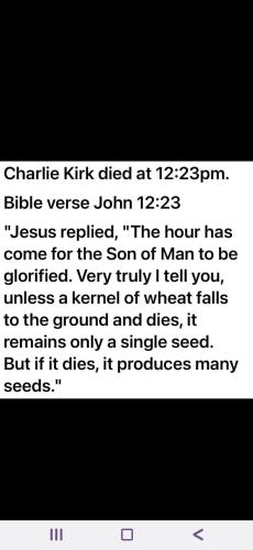 Screenshot_20250916_165245_Wimkin Free Speech Social Media