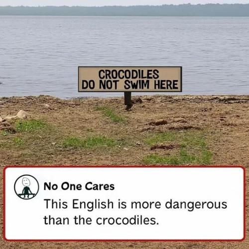 crocodiles-do-not-swim-here