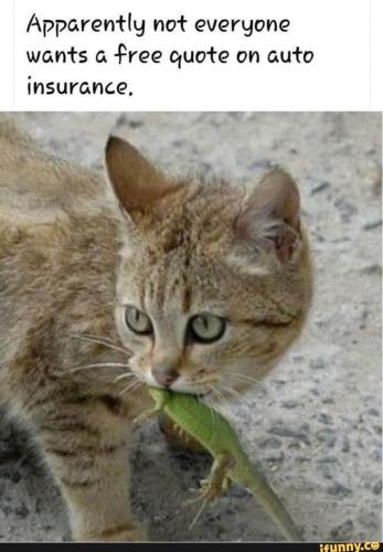 6bbdf4c291ebf68b37388af9f07f0b27