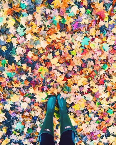 04:04:17 GMT-0500 (CDT)