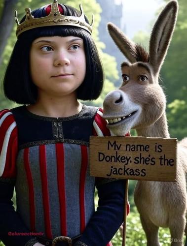 Donkey