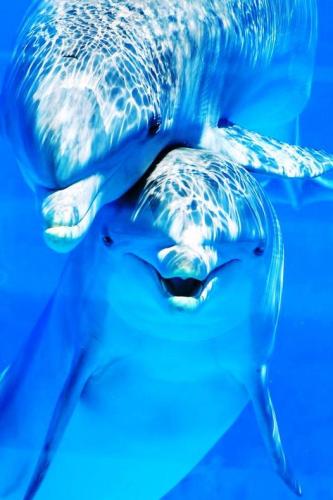 ,         418235313_73391130547