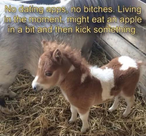 IMG_20250907_205417_268