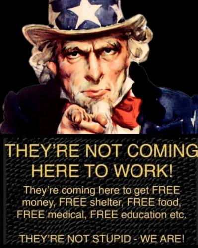 48af5e12-43d6-49a4-8866-7dc48f7013e6