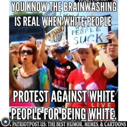 01K4PAZ0TMWEWNJKT57APXRE9N