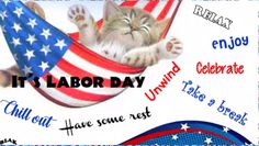 7c3f99eb2e81975df25c8e68b7ea0eed