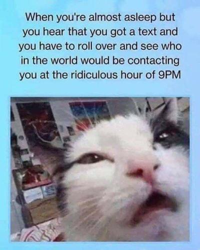 d722153ca5f013122e3064287373b9cb