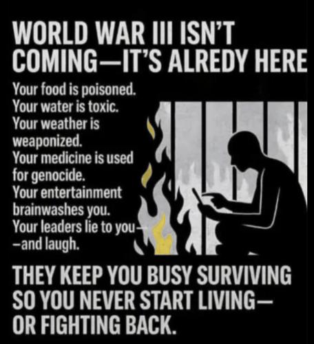 4c95b5227dc3ae6b66c49efc56f57d4a_1024