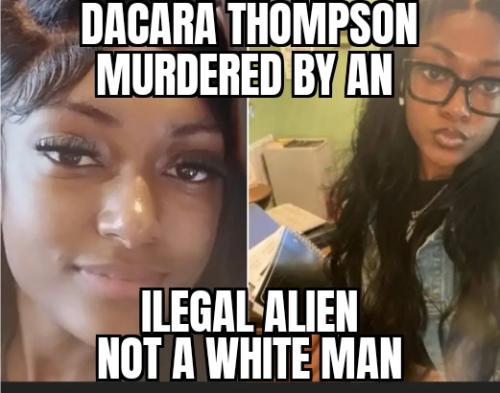 ZomboMeme 07092025201344