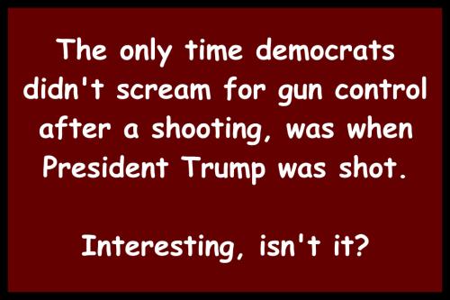 Gun Control And Democrats