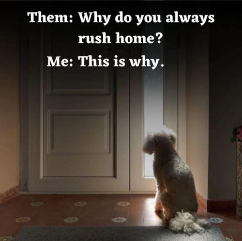 4e8acd4ae9e4d75e7bc58f62f112f771