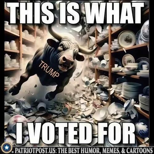 01K4C1Y9TBDX27F9CDXXRG25W2