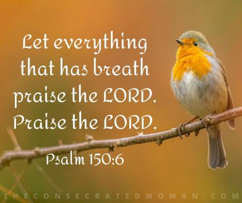 psalm-150-6-1594123609