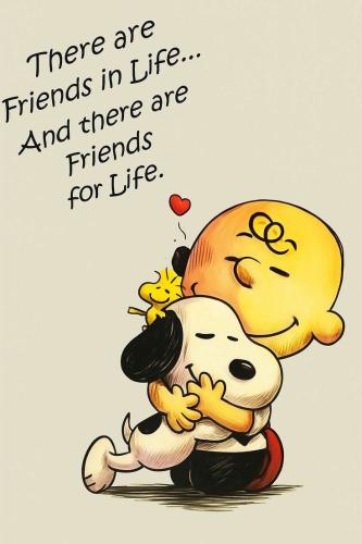 8165e93dcf2155f6bcde40bf8c99df51