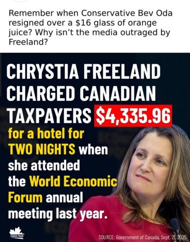 B6B261C9-6557-4E38-9CDA-781C6B63142D