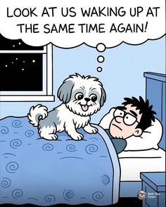 cb0f2ccdf445761ce590b885d251fc3a