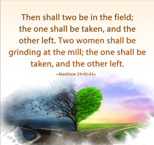 Screenshot_20250912-111257-068