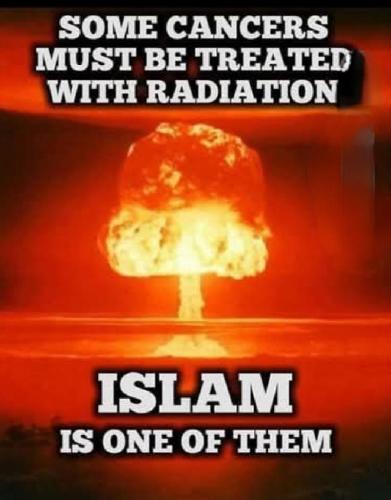 03b55149-c9a1-4318-912c-467f62f0150c