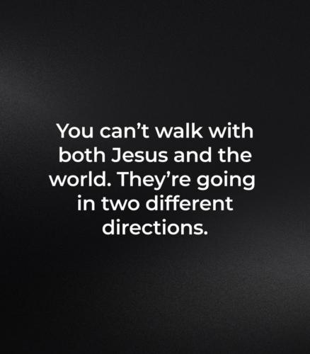 539213838_1313788693447650_3487262682216088396_n