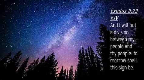 548219121_25359589093629100_3820225830909077067_n