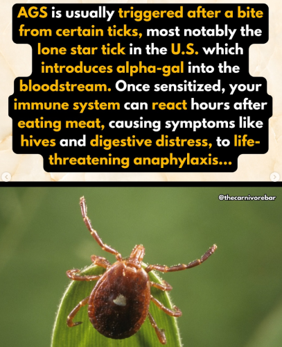 Screenshot 2025-09-14 155315