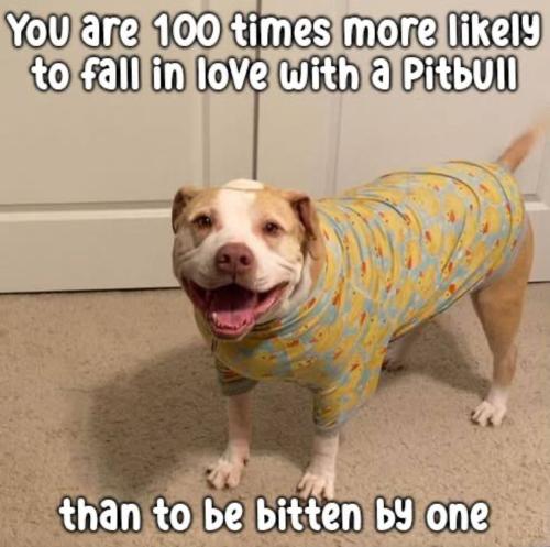 IMG_20250915_143011_466