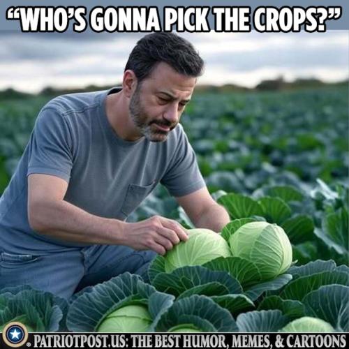 01K5EEC831JRZ4VZXWG2D4QCRG