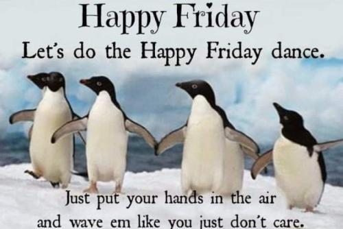 Screenshot_20250912_073444_Gallery