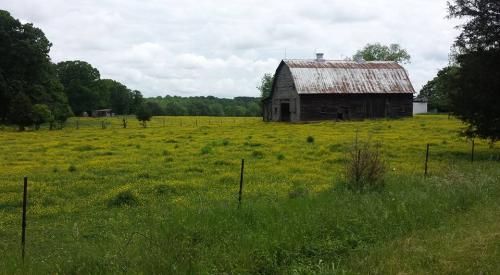 13165973_1024909397546464_9032602563786068897_n