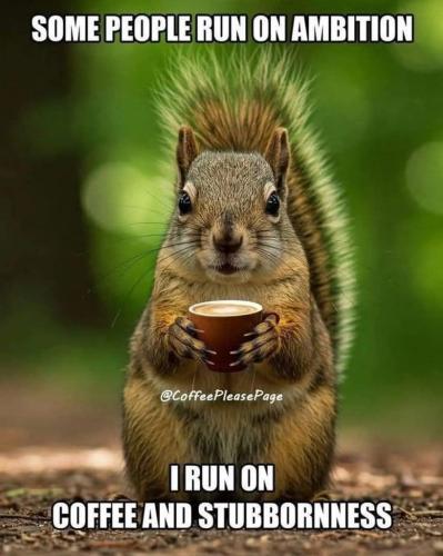 c4782e26-a5d1-4c9c-8371-0ddc0e34a009