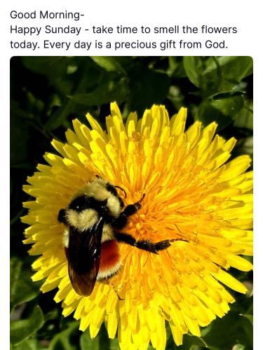 5613D33A-00B0-413A-9203-C7EC08982894