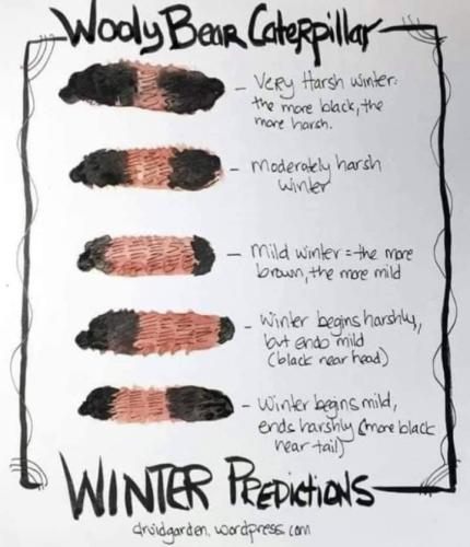 Screenshot_20250901_064246_Gallery