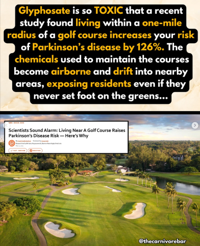 Screenshot 2025-09-14 155642