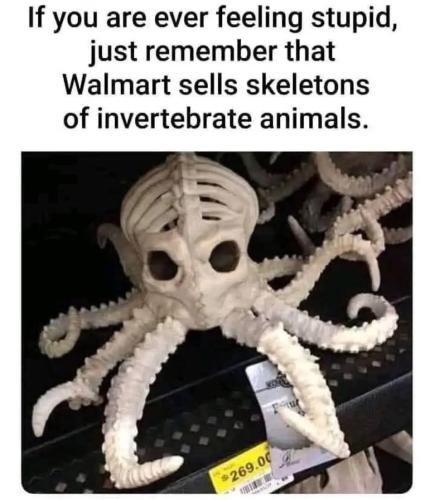 FB_IMG_1757061452694