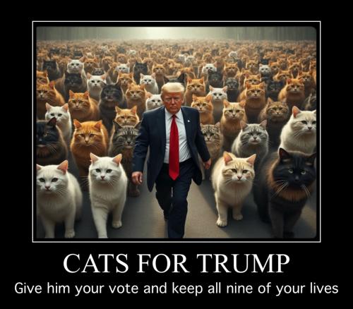 2c09ba19-bb08-4bd7-9cbb-0e94395987ad